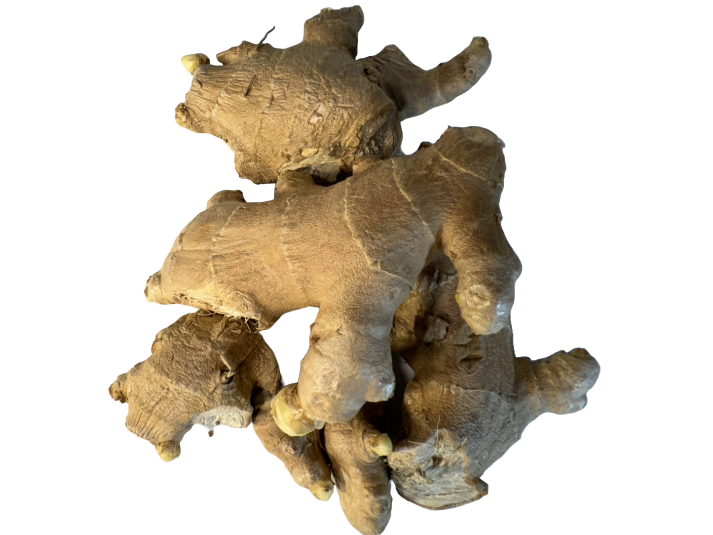 Ginger Root, 8 oz