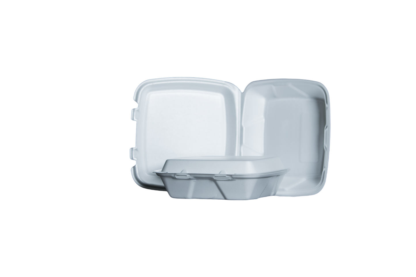 Large To Go Box 1 Compartment (9 1/4 x9 1/4 x 3)