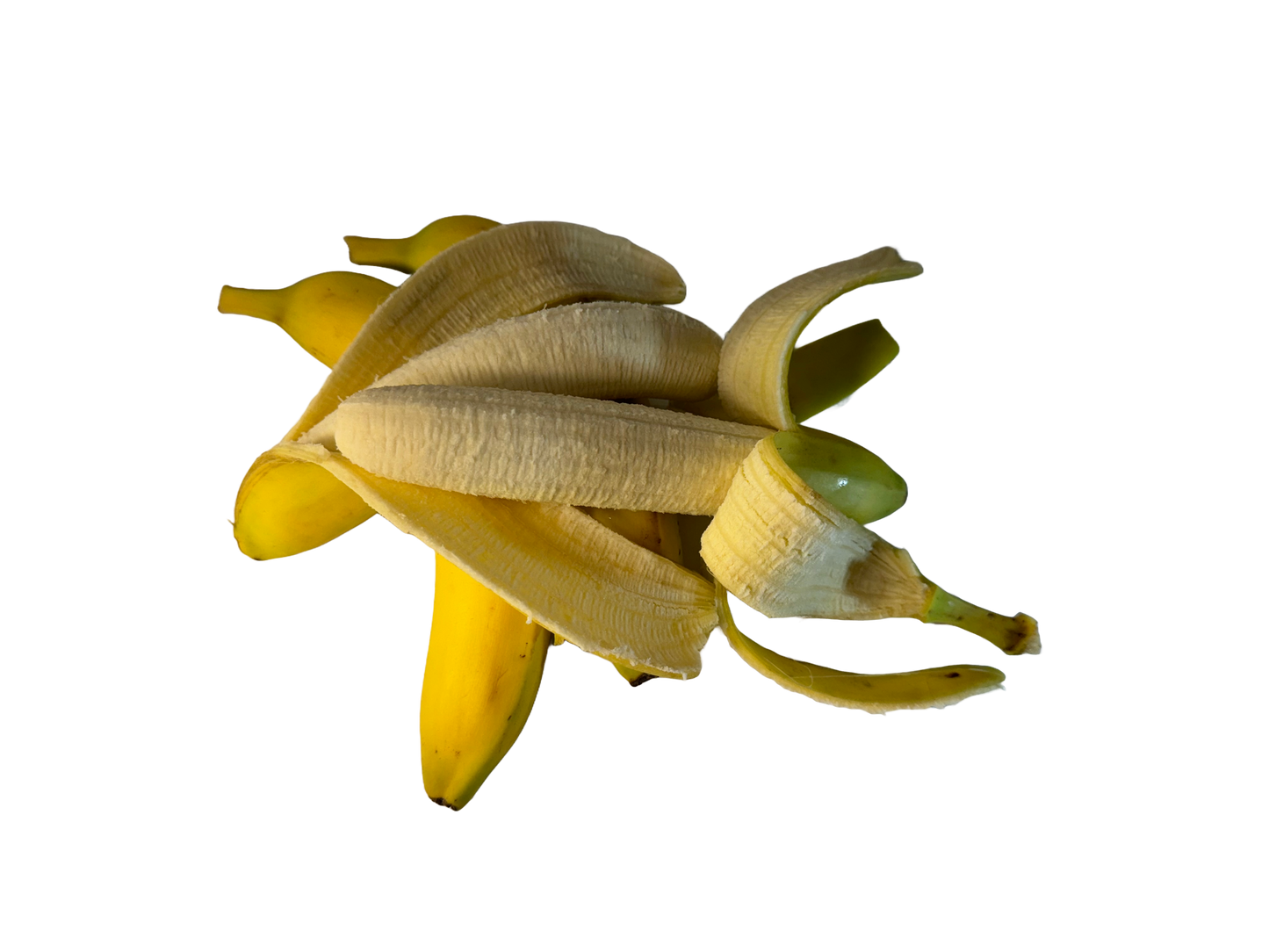 Organic Bananas, 1 lb