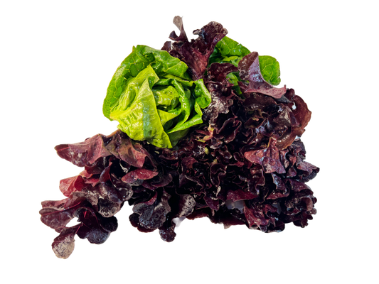 Artisan Lettuce